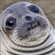 Cookiemuncher58's avatar