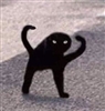Primrose_Harry's avatar