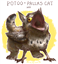 fallenbov's avatar