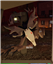 Scorpion_With_A_Battle_Axe's avatar