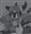 cshaas23's avatar