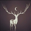 ThievesLuck's avatar