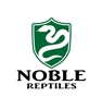 NobleReptiles's avatar