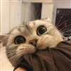 oddanna's avatar