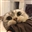 oddanna's avatar