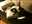 JVALVEAR's avatar