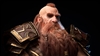 FredFireBeard's avatar
