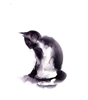 Shief's avatar