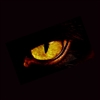 emanatingstorm's avatar