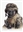 c0dphysh's avatar