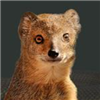Jouster322's avatar