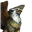 Hazirawn's avatar