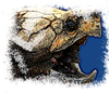 JarekSharik's avatar