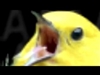 Sunny_the_little_knight's avatar