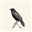 V_Hahn's avatar