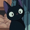alorascott's avatar