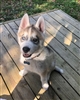 Pastor_Ashe's avatar