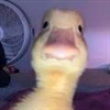 Darkrouge21's avatar