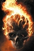 Lorcon's avatar