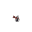 Aloeva's avatar