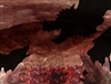 KennyraeWolf's avatar