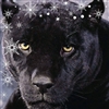 Katabri's avatar