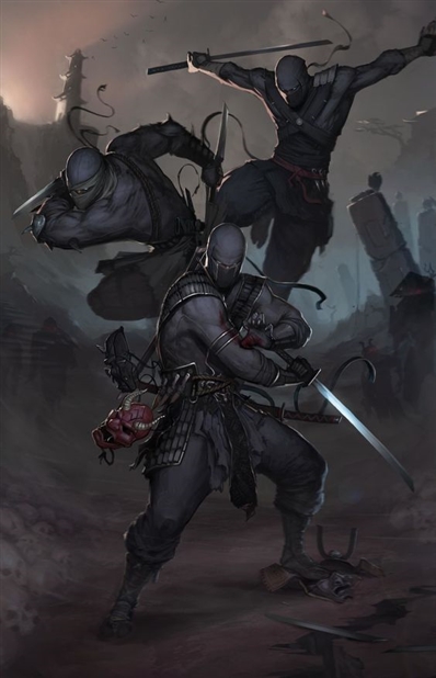 Ninja Image