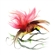 minmaxd's avatar