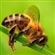 BungieBee's avatar