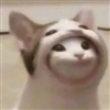 Timthefirewarden's avatar