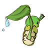 snoopsoups's avatar