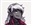 EaranMalmor's avatar