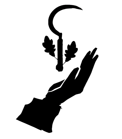Grove Scholar Image