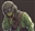 Timothy_the_bard's avatar