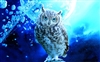 OrionMoon1905's avatar