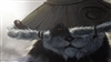 TwocoinsPanda's avatar