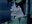 RouxLioux's avatar