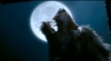 ThunderWolfTheGunslinger's avatar