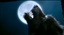 ThunderWolfTheGunslinger's avatar