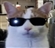 toastyyy_boy's avatar