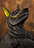 Anchi's avatar