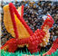 MeiTow's avatar