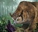 OwlBearDude's avatar