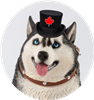TheHuskeyGent's avatar