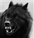 MidnightBlackWolf's avatar