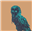 Yoltun's avatar