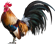 Chicken_Champ's avatar