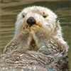 TheRealFlynn's avatar