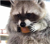 BeeWithKnees's avatar