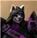 Irokutara's avatar
